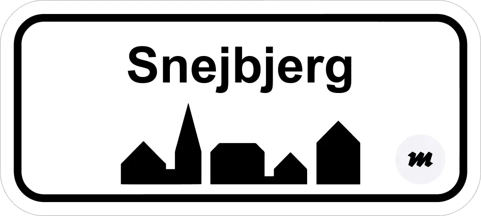 maler snejbjerg